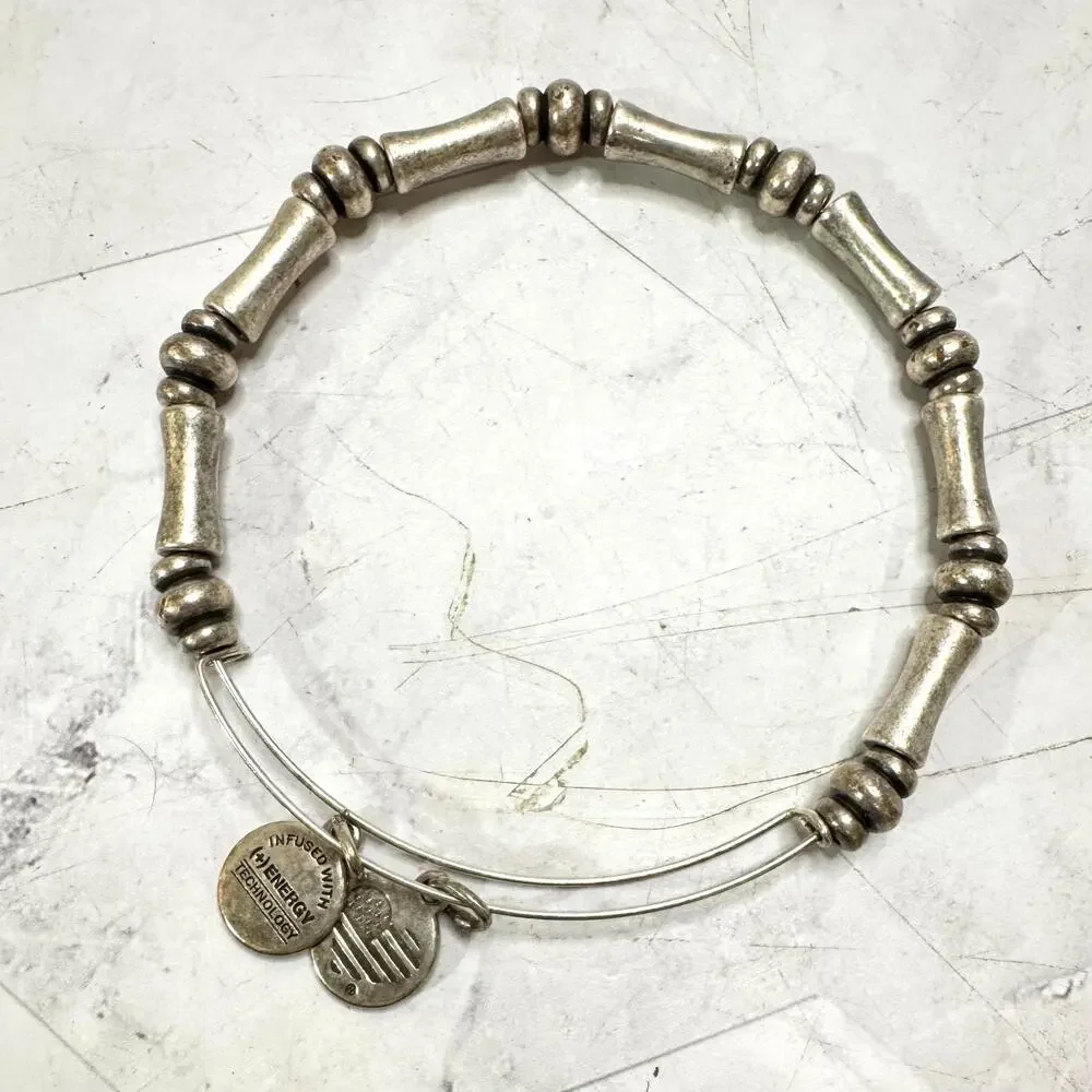 Alex And Ani Charm Bracelets Silver Tone Compass G Initial Bamboo Link Lot of 3